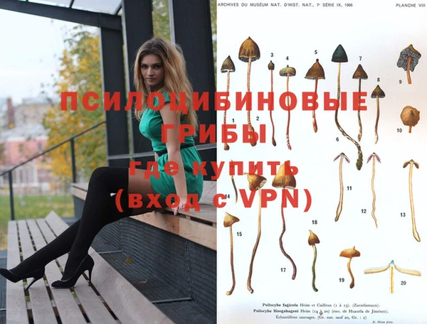 СК Коряжма