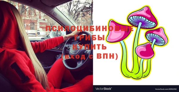 СК Коряжма