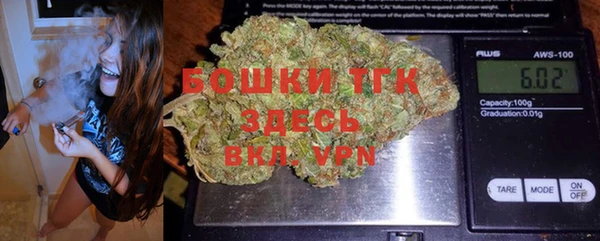 круглые Гусев