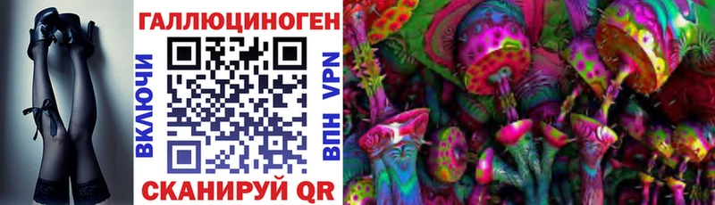 kraken tor  Ессентуки  Псилоцибиновые грибы Psilocybe 