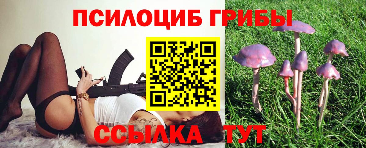 Псилоцибиновые грибы мицелий  Вход с VPN  Ессентуки 