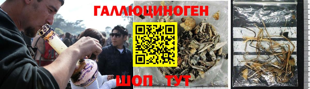 Галлюциногенные грибы мицелий  где купить наркоту  Ессентуки 