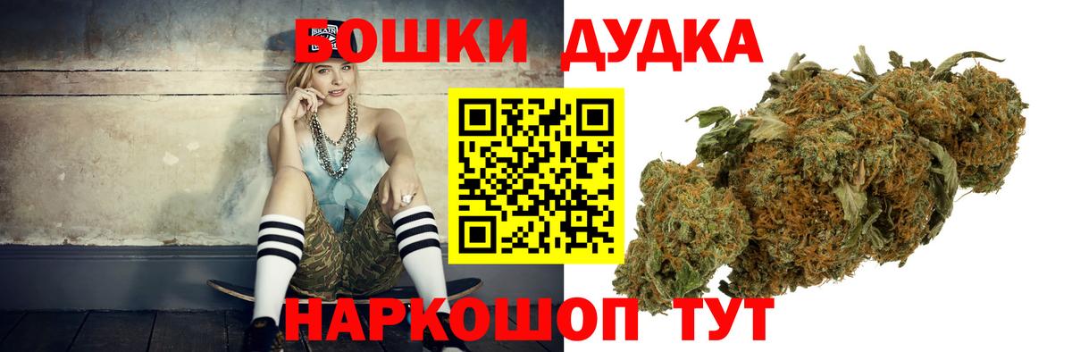 Марихуана план  Ессентуки  Каннабис индика 